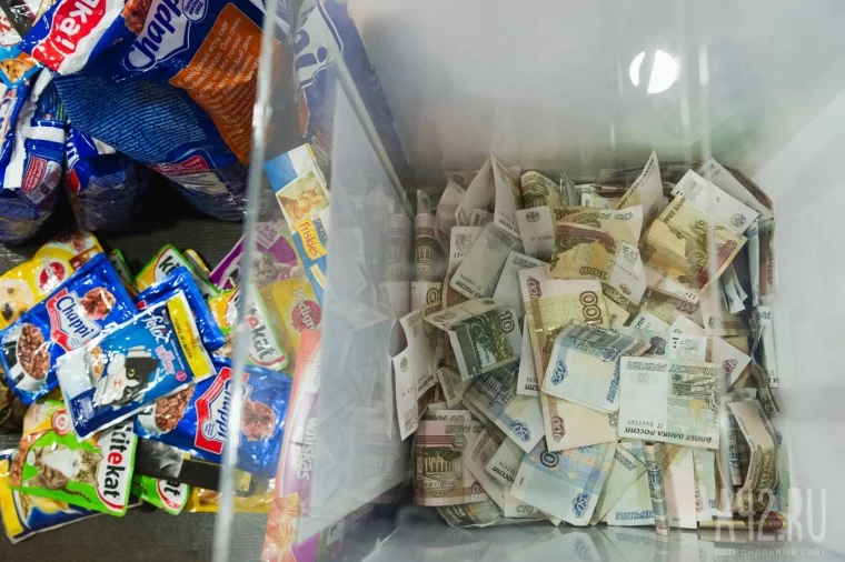 Фото: Читатели А42.RU передали деньги и продукты в приют «Верный» 4