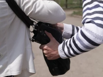 Фото: В Кузбассе грабитель сорвал сумку с плеча незнакомки 1