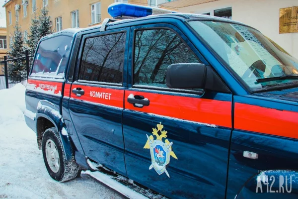 СК возбудил уголовное дело по факту смерти младенцев в Новокузнецком роддоме №1