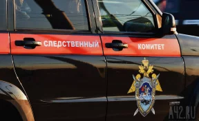 Бастрыкин потребовал доклад об избиении в Кузбассе 13-летнего подростка