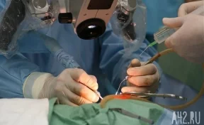 В США впервые в истории пересадили лицо и руки пациенту