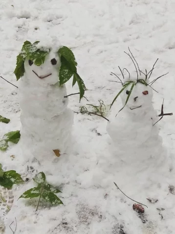 Фото: Пользователи соцсетей показали фотографии первых снеговиков в Кузбассе 3