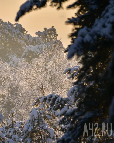 Даниил Зимоуказчик или Данилов день: народные приметы на 30 декабря