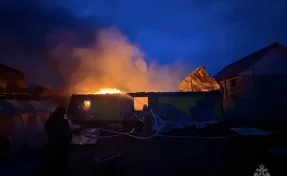 Семья из семи человек, в том числе четверо детей, погибла при пожаре в Югре