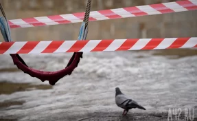 Baza: В Новой Москве под окнами многоэтажки нашли тела многодетных супругов