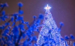 Огни на главной новогодней ёлке Кузбасса зажгутся 1 декабря