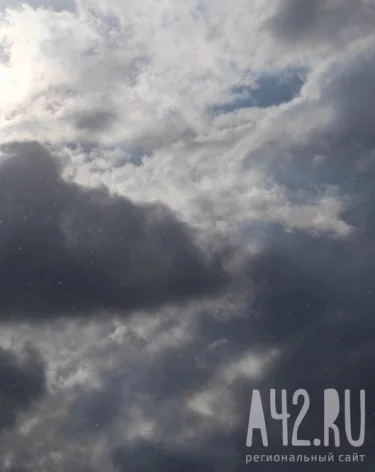 Фото: A42.RU