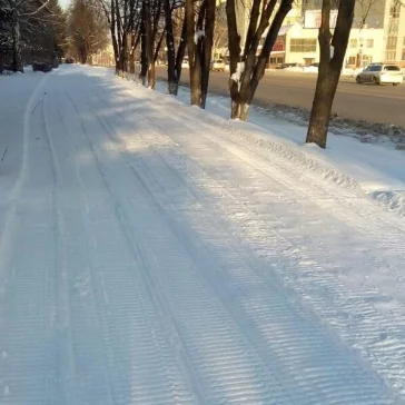 Фото: На бульваре Строителей в Кемерове начали делать лыжню 2