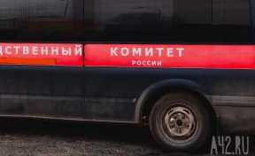 СК: в Кузбассе 17-летний подросток планировал нападение на школу 