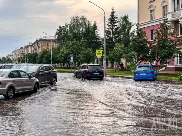 Фото: Синоптики предупредили кузбассовцев об усилении ветра до 22 м/с 1