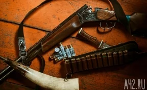 Росгвардия изъяла десятки ружей и винтовок у кузбасских охотников 