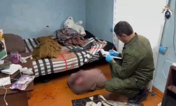 Фото: В Кемерове мужчина убил сестру, соседку и ранил ещё одну женщину: нападавший задержан 1