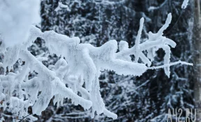 Температурный скачок от -25 до 0 ожидается в Кузбассе 9 февраля