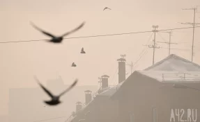 В Кемерове режим «чёрного неба» продлили до 22 января