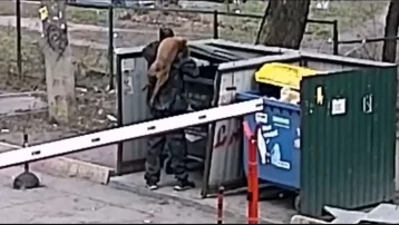 Фото: В Кузбассе полиция проверила информацию о выброшенной в мусорный контейнер собаке 1