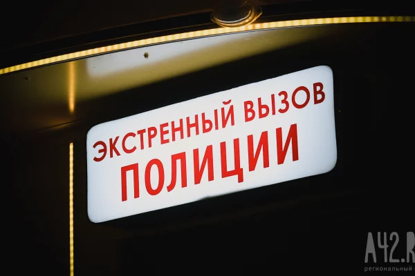 В Кузбассе грабителя нашли благодаря укусу 83-летней женщины