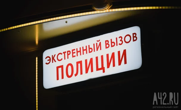 В Кузбассе грабителя нашли благодаря укусу 83-летней женщины