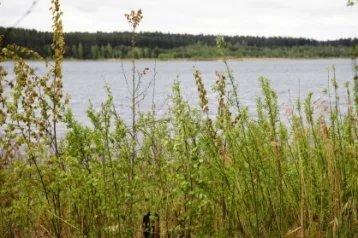 Фото: В Тверской области утонули трое детей 1