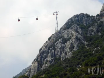 Фото: При крушении фуникулёра в Португалии погибли 15 человек 1