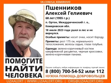 Фото: 68-летний кузбассовец ушёл в лес и не вернулся: начались поиски 1