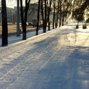 Фото: На бульваре Строителей в Кемерове начали делать лыжню 3