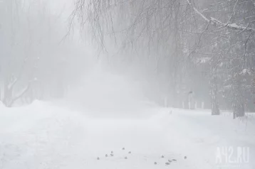 Фото: Кузбасских водителей предупреждают о снегопадах и метелях 1