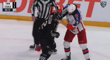 Фото: Телегин против Телегина: кузбасский хоккеист подрался с челябинским однофамильцем 1
