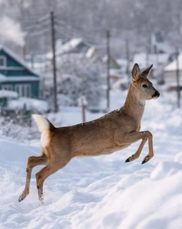 Фото: сгенерировано ChatGPT по запросу А42.RU