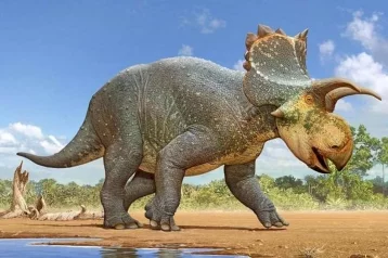 Фото: Палеонтологи обнаружили в США останки нового вида динозавра 1