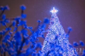 Фото: Огни на главной новогодней ёлке Кузбасса зажгутся 1 декабря 1