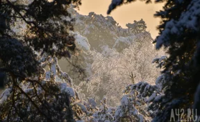 Даниил Зимоуказчик или Данилов день: народные приметы на 30 декабря