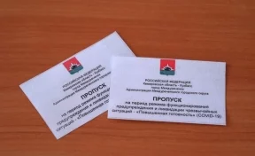 Власти кузбасского города планируют ввести пропускной режим