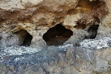 Фото: В труднодоступной пещере на Канарах обнаружены останки 72 человек 1