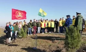 Кузбасский фронтовик высадил кедры на Мамаевом кургане в память об однополчанах