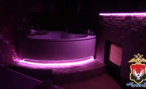 Полицейские пресекли деятельность притона для занятия проституцией в Удмуртии