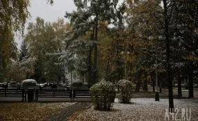 Мокрый снег и «минус» днём: синоптики дали прогноз погоды на неделю в Кузбассе