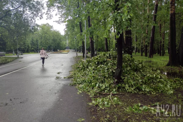 В Новокузнецке дома на 12 улицах остаются без света после грозы