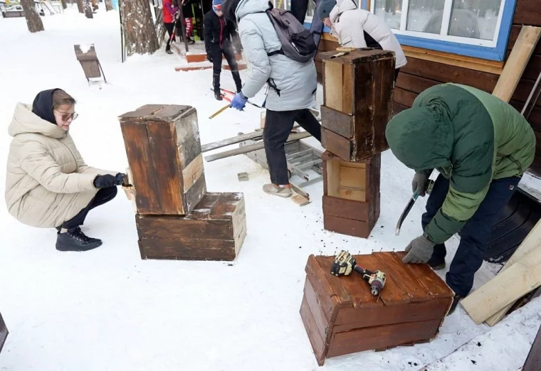 Фото: В Кемерове в Рудничном бору установили четыре совятника 1