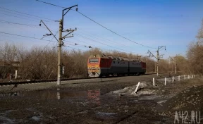 В Кузбассе грузовой поезд столкнулся с крупным рогатым скотом