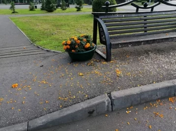 Фото: В Кузбассе вандалы тайком вернули украденный вазон с цветами после критики мэра 1