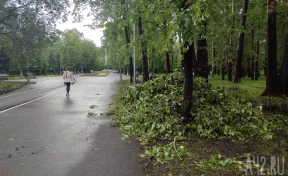 В Новокузнецке дома на 12 улицах остаются без света после грозы