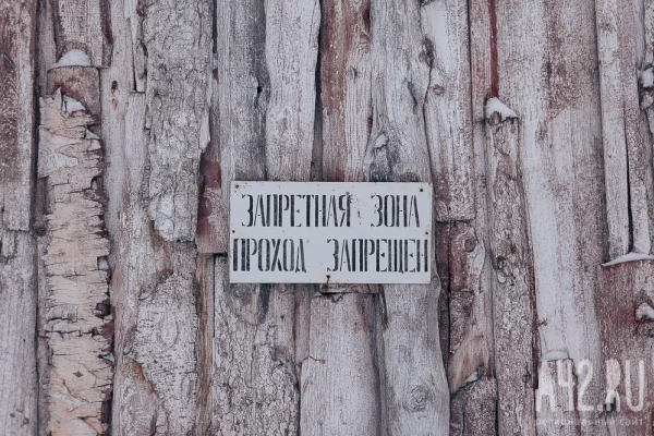 Ещё в двух населённых пунктах Беловского округа ввели карантин по бешенству