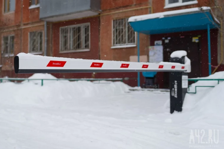 Фото: Вонь-атака и люди-свиньи: чем были возмущены кемеровчане в 2017 году 6