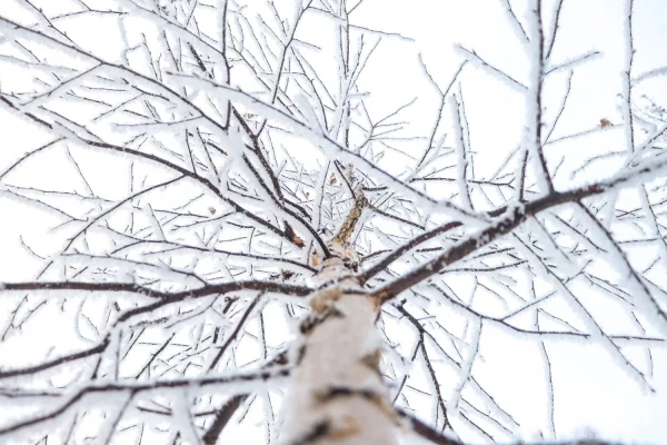 Филиппов день или Заговенье: народные приметы на 27 ноября