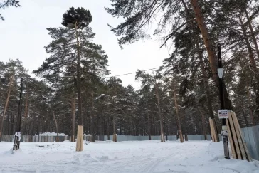 Фото: В Кемерове снесли старый корпус спортшколы в Рудничном бору 1