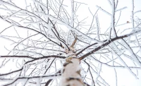 Филиппов день или Заговенье: народные приметы на 27 ноября