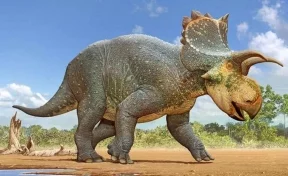 Палеонтологи обнаружили в США останки нового вида динозавра