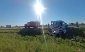 В Волгоградской области в ДТП на трассе пострадали трое взрослых и трое детей