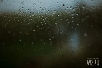 Фото: В воскресенье кузбассовцев ожидают дожди и грозы 1