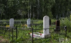 В Подмосковье пропавших отца и сына нашли мёртвыми на кладбище